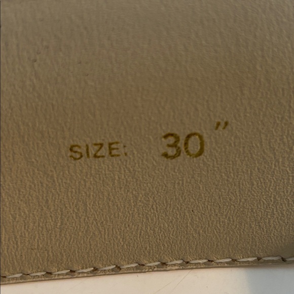 Elegant Gold and Brown Snake Print Belt - Picture 6 of 13